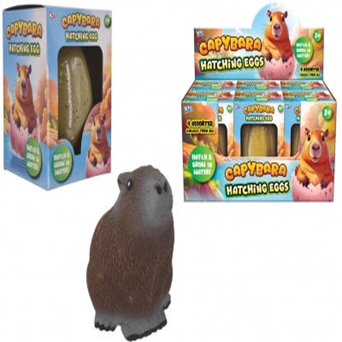 Large Growing Capybara In Egg
