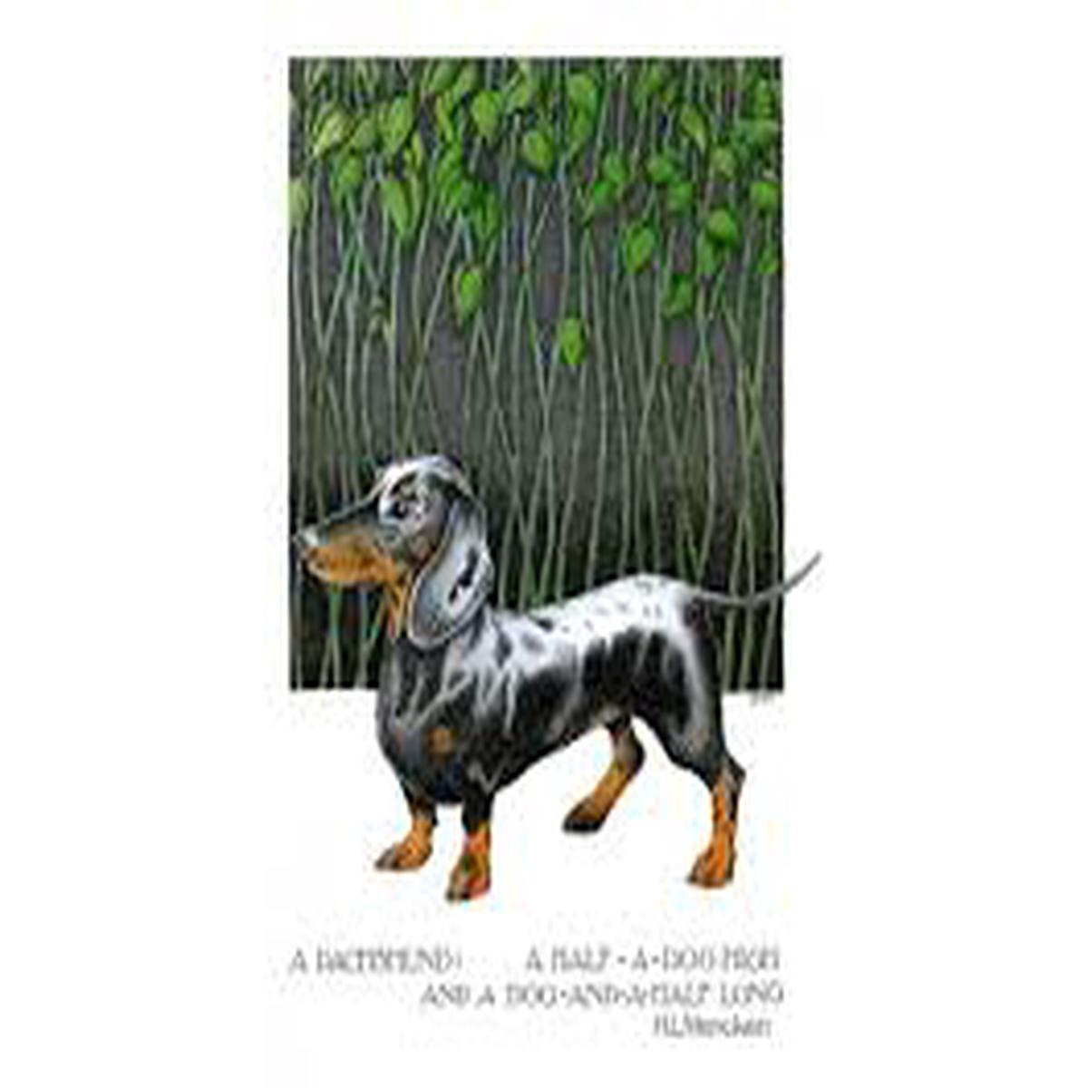 Simon Drew  Dachshund Card