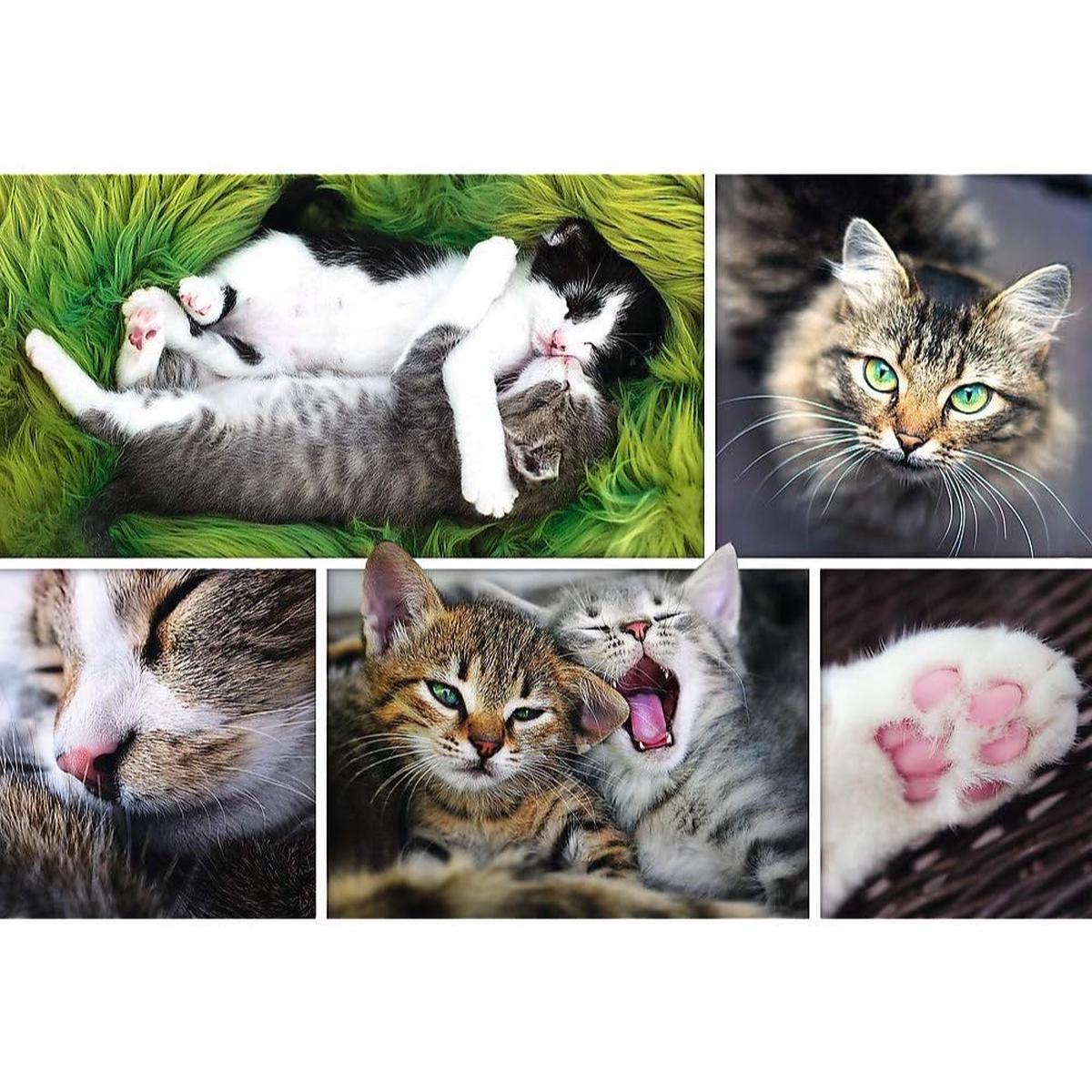 Trefl Jigsaw Puzzle Just Cat Things Collage 1500Pcs