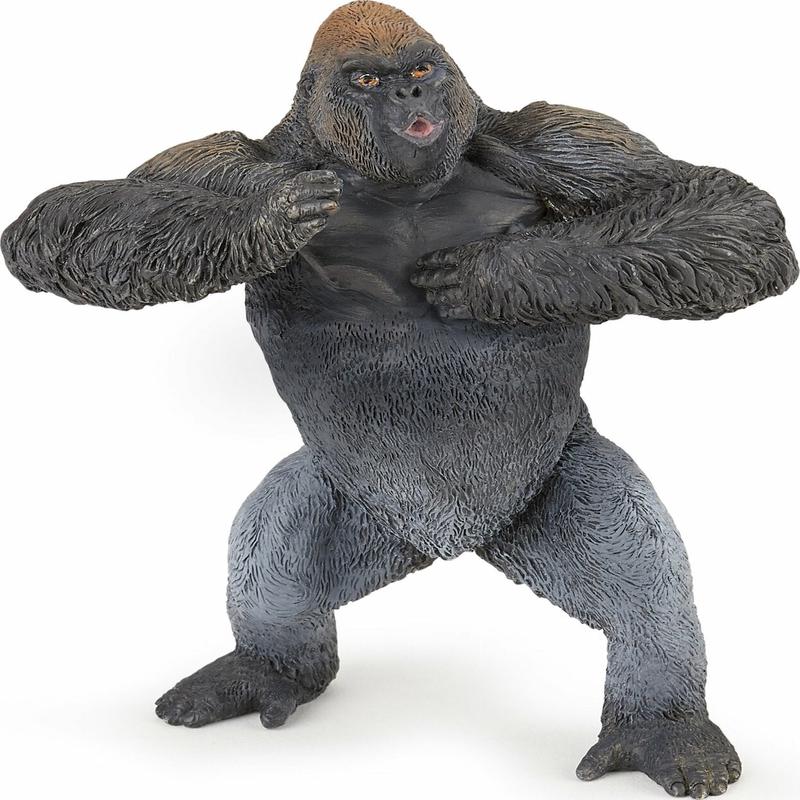 Mountain Gorilla