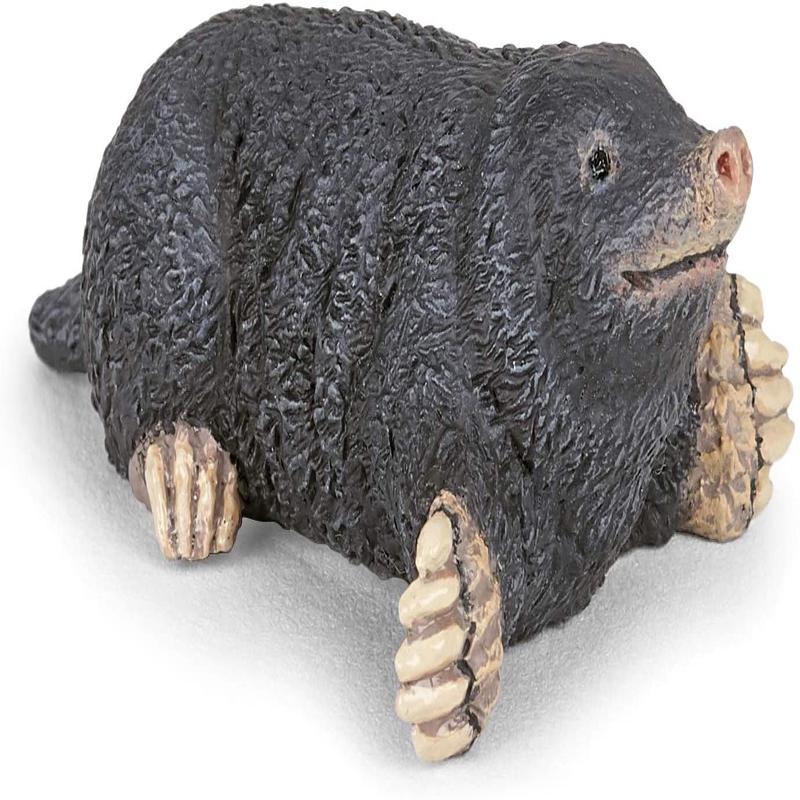 PAPO 50265 MOLE