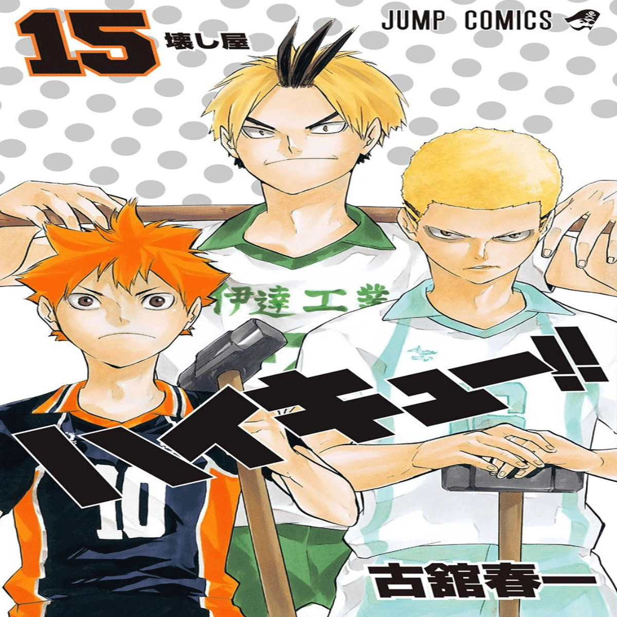 Manga Haikyuu 15 Japanese Version