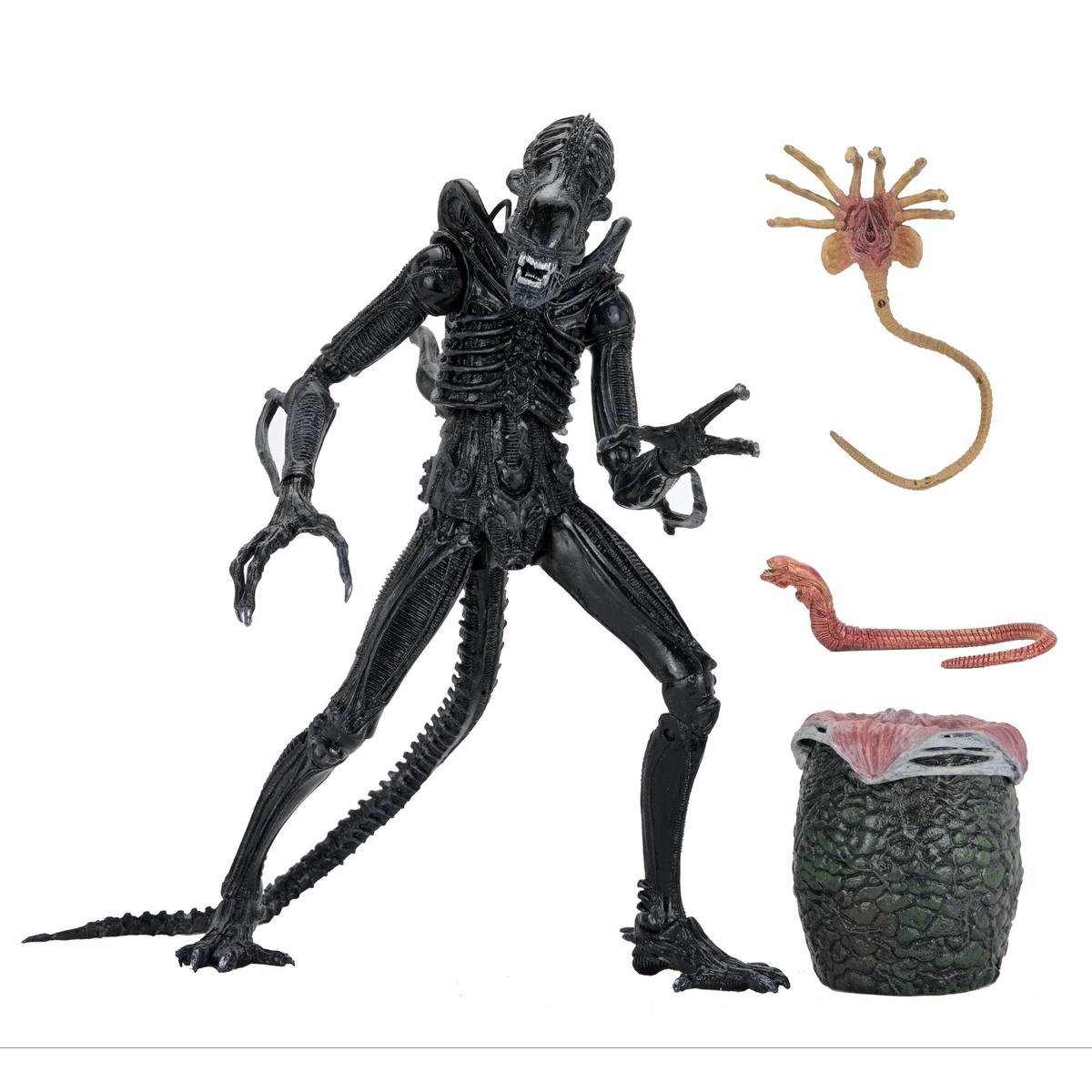 Aliens (1986): Warrior Xenomorph (Black): 40th Anniversary: Ultimate 7″ Action Figure